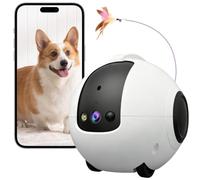 HUAJUN Robot de Caméra, 2.5K Caméra Robot pour Animaux avec Batterie 10000 mAh, Camera Anti Dumping 360°, Audio 2 Voies, Vision Nocturne Pleine Couleur, Détecteur Mouvement for Pets,Elderly