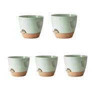 HUANGING Lot de 5 bols d'arrosage modernes en polystyrène immunitaire à chaleur permanente à l'intérieur de la maison, du jardin, de la terrasse, de l'arrosage des plantes avec plateau