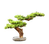 Huangj-0527 Bonsaï Artificiel d'intérieur, Fausses Plantes de pin, décoration for Salon, entrée, Bureau Décoration Maison Arbre Artificiel