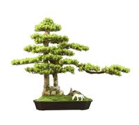 Huangj-0527 Bonsaï Artificiel for Bureau, bibliothèque, Salle de Bain, etc Décoration Maison Arbre Artificiel
