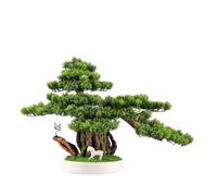 Huangj-0527 Simulation Fortune Tree Bonsaï Bienvenue Pin Ornements Entrée Table Salon Bureau Hôtel Décorations Douces Décoration Maison Arbre Artificiel