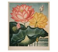 HUANTY Impressions sur toile d'art mural Exposition D'art, Illustration De Tulipe De Lys, Affiche Vintage Sans Cadre, Peintures Sur Toile, Images D'art Mural, Décoration D'intérieur(C,40x60cm)