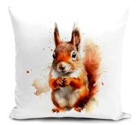 HUASHUZI ecureuil Housse de Coussin 40x40 cm Femme Cadeau ecureuil Accessoires canape Coussin decoratif Salon scandinave Housse Coussin pour canapé Chambre