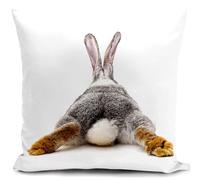 HUASHUZI Lapin Housse de Coussin 40x40 cm Femme Cadeau Accessoire Lapin canape Coussin decoratif Salon scandinave Housse Coussin pour canapé Chambre
