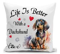 HUASHUZI Teckel Housse de Coussin 40x40 cm Chien Le Teckel Femme Cadeau Accessoires canape Coussin decoratif Salon scandinave Housse Coussin pour canapé Chambre