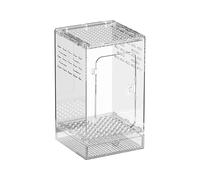 Huayeex Terrarium araignée ventilé en acrylique transparent pour reptiles, gecko, mante, crickets, scorpions, scarabes, serpent, escargot, tortue, grenouille