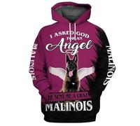 HuazomeeHZM Animal Rottweiler/Boxer/Malinois/Golden Retriever Angel Dog Sweat-Shirt à Capuche Unisexe imprimé en 3D Pull-Over décontracté Survêtement