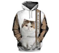 HuazomeeHZM Le Temps passé avec Bengal n'est jamais Perdu Sweat à Capuche imprimé en 3D Pull Unisexe Animaux Sweats à Capuche rigolos Casual Streetwear Tracksuit