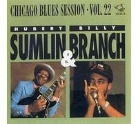 Hubert Sumlin & Billy Br - Chicago Blues Session 22