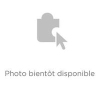 Hublot pour lave-linge complet natis wm ha gw/bk Whirlpool C00508605 G