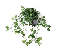 HuddleGlow Guirlande Lumineuse Décorative en Rotin Solaire, pour Balançoire, Décoration de Jardin, Cour, Mariage - 2m