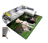 HuddleGlow PC Test Châssis Ouvert Rack Banc Cadre Ouvert Ordinateur de DIY Boîtier Ouvert Support Cartes Mères ATX MATX