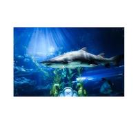 HUDFVIOI Poster Aquarium Affiche de décoration d'aquarium en PVC, Double Face, Fond 3D for Aquarium, Plantes océaniques, Peinture Paysage, Autocollant, Ornement pour la décoration(Gray,30x40cm)