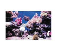 HUDFVIOI Poster Aquarium Affiche de décoration d'aquarium en PVC, Double Face, Fond 3D for Aquarium, Plantes océaniques, Peinture Paysage, Autocollant, Ornement pour la décoration(Red Color,40x80cm)