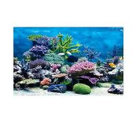 HUDFVIOI Poster Aquarium Affiche de décoration d'aquarium en PVC, Double Face, Fond 3D for Aquarium, Plantes océaniques, Peinture Paysage, Autocollant, Ornement pour la décoration(White,54x122cm)