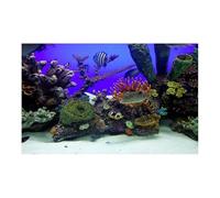 HUDFVIOI Poster Aquarium Affiche de décoration d'aquarium en PVC, Double Face, Fond 3D for Aquarium, Plantes océaniques, Peinture Paysage, Autocollant, Ornement pour la décoration(Black-A,50x100cm)