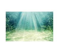 HUDFVIOI Poster Aquarium Affiche de Fond d'aquarium 3D, Autocollant adhésif en PVC, arrière-Plan du Monde sous-Marin, Plantes d'océan et mer pour la décoration(White,50x80cm)