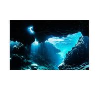 HUDFVIOI Poster Aquarium Autocollant de Fond d'aquarium décor, Papier Peint imprimé Nuage HD, décorations en PVC, Accessoires pour la décoration(Green,30x61cm)