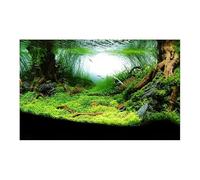 HUDFVIOI Poster Aquarium Autocollant de forêt, Ornement Fond d'aquarium, Affiche Paysage, Papier Support Auto-adhésif for Aquarium pour la décoration(Green,54x122cm)