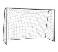 Hudora But de football Expert 300 Gris Argent TU