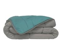 HUDSON Couette legere Microfibre 200g/m2 220x240cm Galet + Lac