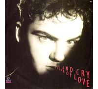HUE AND CRY - HUE AND CRY / LABOUR OF LOVE