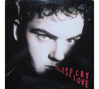 Hue and Cry - Labour of love (1987) / Vinyl single [Vinyl-Single 7'']