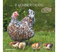 Hühner 2025 - Broschürenkalender 30x30 cm (30x60 geöffnet) - Kalender mit Platz für Notizen - Hühner - Bildkalender - Wandkalender - Hühnerkalender