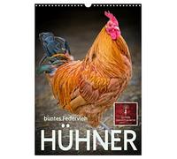 Hühner - buntes Federvieh (Wandkalender 2026 DIN A3 hoch), CALVENDO Monatskalender: Unser Haushuhn - das häufigste Haustier der Menschen, ist auf dem Vormarsch in die deutschen Gärten.