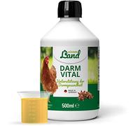 HÜHNER Land Intestin Vital 500 ml pour poulets - Soutien de la digestion et de la flore intestinale des poulets, en cas de diarrhée et de coccidies chez le poulet, renforcement du système immunitaire