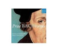 Praebachtorius