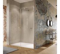 HÜPPE Solva Porte battante, avec partie secondaire, en niche, cadre partiel, fixation à gauche, largeur 1000mm, hauteur 2000mm, S22903123380, Cabines de douche: Couleur du profilé Verre noir Edition v