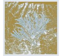 Huerco S. - For Those of You Who Have Never (2lp)