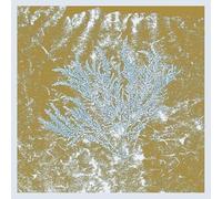 Huerco S. – For Those of You Who Have Never – Vinyle 2LP