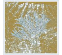 Huerco S. – For Those of You Who Have Never – Vinyle 2LP