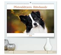 Hütehunde - Hüter der Herzen (hochwertiger Premium Wandkalender 2026 DIN A2 quer), Kunstdruck in Hochglanz: Ein Jahr mit wunderschönen Hütehunde-Rassen