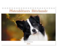 Hütehunde - Hüter der Herzen (Tischkalender 2026 DIN A5 quer), CALVENDO Monatskalender: Ein Jahr mit wunderschönen Hütehunde-Rassen
