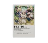 HUEYRORRYT JASURYWO I R I Anime DR. Stone Poster décoratif sur toile pour salon, chambre à coucher, 60 x 90 cm, sans cadre