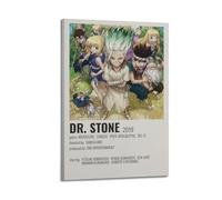 HUEYRORRYT JASURYWO I R I Anime DR. Stone Poster décoratif sur toile vintage pour salon, chambre à coucher, 60 x 90 cm, style cadre