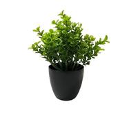 HUFFA Bonsaï de Fleurs artificielles-Petites Plantes Vertes en Pot for la décoration intérieure et Les Ornements d'armoires(COLOR9)