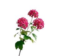 HUFFA Boule de Neige Porte-Bonheur à Tige Unique et 3 fourches, Fleur Artificielle d'hortensia en Bois for Mariage et décoration de la Maison(Rose Red)