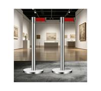 HUFIREHU Poteaux De BarrièRe,Poteaux RéTractables Avec Ceintures De SéCurité, Assemblage Facile à Connecter, For ThéâTres, FêTes, Expositions(Silver,3M/9.8FT)