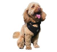 HugglePets Skye & Murphy - Harnais souple pour chien | Noir (noir classique) | Ajustement réglable et confortable avec sangles sécurisées | Noir | Taille L (56-76 cm)
