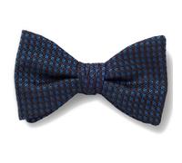 Hugo Nœud Papillon 10279415