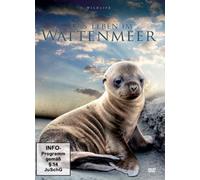 Hugo Van Lawick - Das Leben im Wattenmeer [Import]