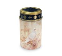 HUGS IDEA Lampes solaires en forme de croix pour tombe - Colombe - Étanche - ABS - Décoration commémorative religieuse sur le thème des anges - Éclairage de cimetière pour jardins et Toussaint