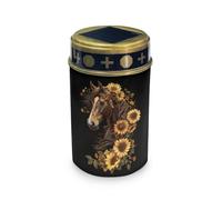 HUGS IDEA Lanterne funéraire étanche à énergie solaire avec LED pour jardins pastoraux et allées