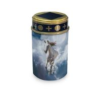 HUGS IDEA Lanterne funéraire solaire en forme de cheval blanc élégante sur le thème des animaux - Décoration solaire étanche pour jardins, sites religieux et mémorial extérieur