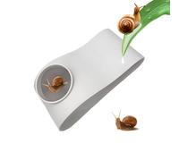 Hugsweet Caverne Souterraine pour Aquarium | Tunnel Cachette Souterrain pour Betta | Décor Aquarium pour Élevage Jeu Repos Kuhli Corydoras Crevettes Rasbora Chili | pour Poisson Crevettes