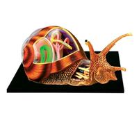 HUIBBGO Modèle Anatomique 4D d'escargot, Squelette, Anatomie Animale, 32 Parties du Corps et éléments Amovibles. Modèle pédagogique d'anatomie Animale pour Les Cours de biologie.